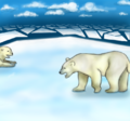 Monthly kaybear polar bears.png