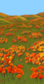 Monthly inghild poppy fields forever.png