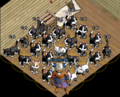 Eighty cats.png