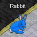 Pets-Radiant Rabbit.png