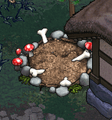 Foraging station on the isle