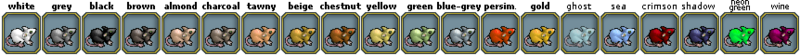 File:Pets-Rat colors.png