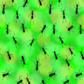 EGG 2023-Fynx-Emerald-Ants.png