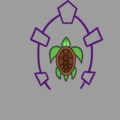 EGG 2024-Sonicbang-Emerald-Turtle Clan.png
