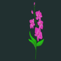 EGG 2022-Bisca-Emerald-Orchid.png