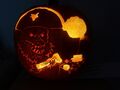 Greecefeva 2025 Pumpkin.jpg