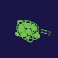 Midnight tortoise.GIF