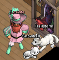 Event-NMPWD1-Lcawte with named pets.png